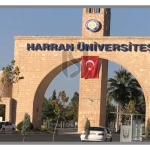دانشگاه های ترکیه که فقط به زبان ترکی تدریس می کنند