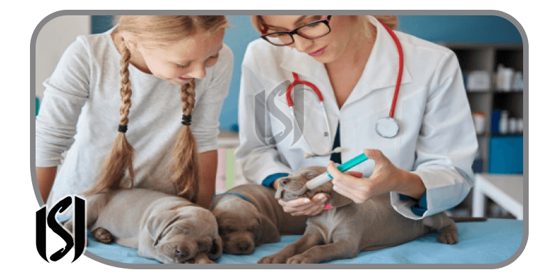 Veterinary Medicine as a Lucrative Profession in Turkiye