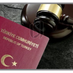 The new Turkish citizenship